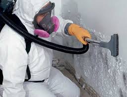 Mold Removal for HVAC Installations